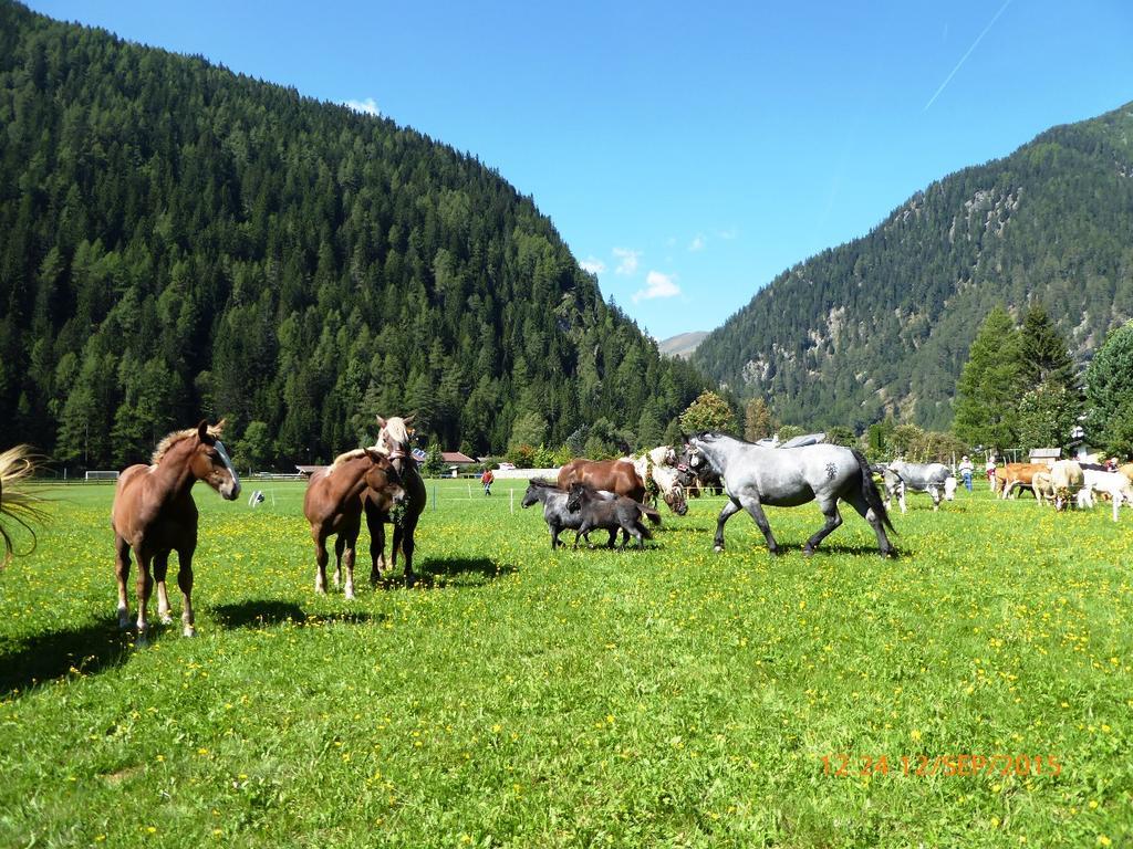 Отель Gaestehaus Truskaller Мальниц Экстерьер фото