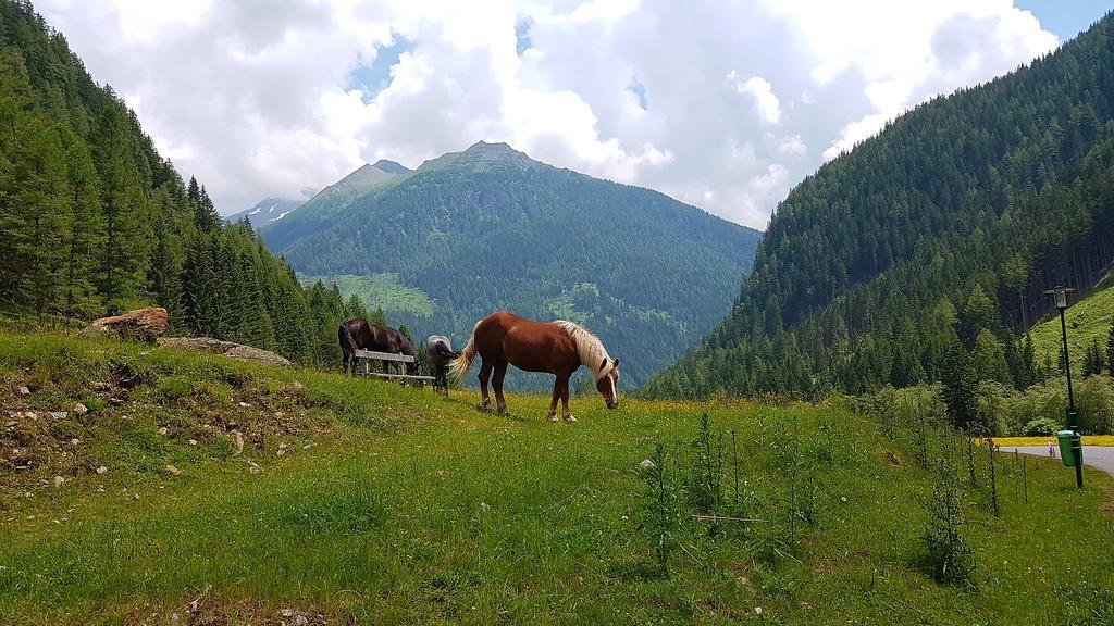 Отель Gaestehaus Truskaller Мальниц Экстерьер фото